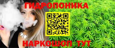 spice Дубна