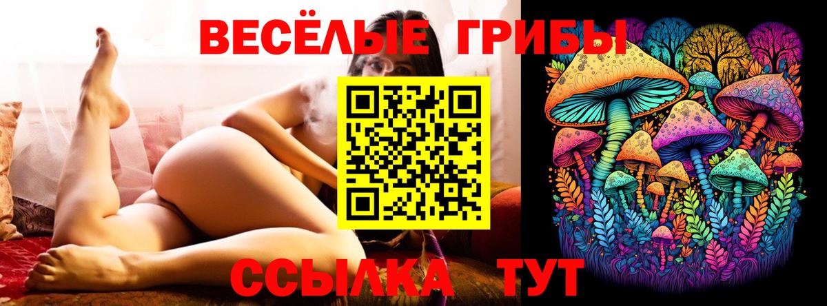 Галлюциногенные грибы GOLDEN TEACHER Лесосибирск